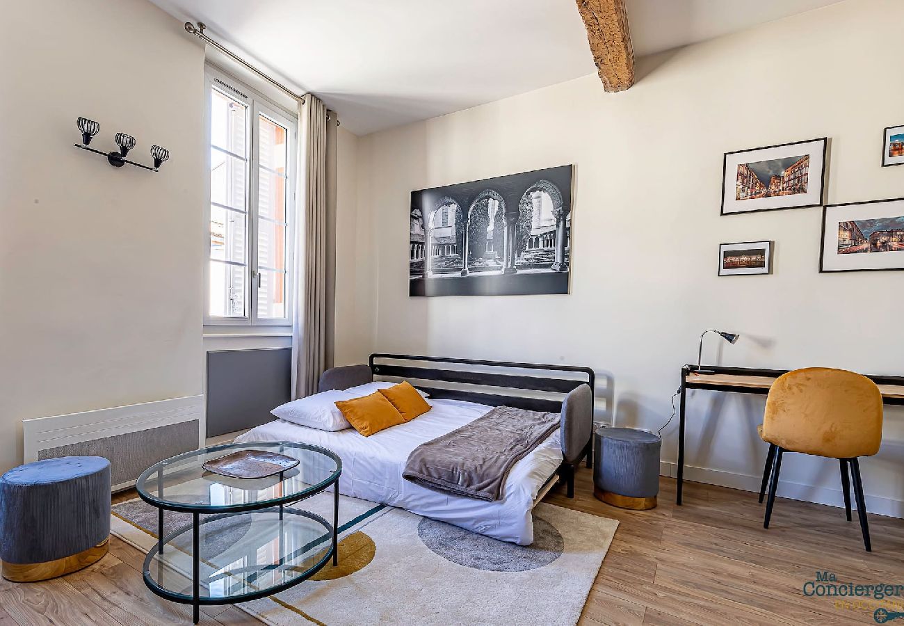 Apartment in Toulouse - ST AUBIN - Gare & Capitole 10min - Hypercentre