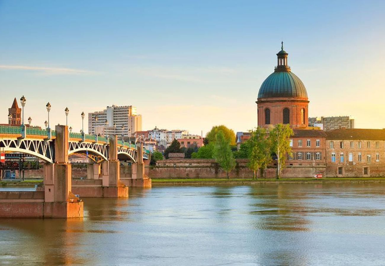 Apartment in Toulouse - MONTAUDRAN · Place Dupuy - Vue panoramique -Métro