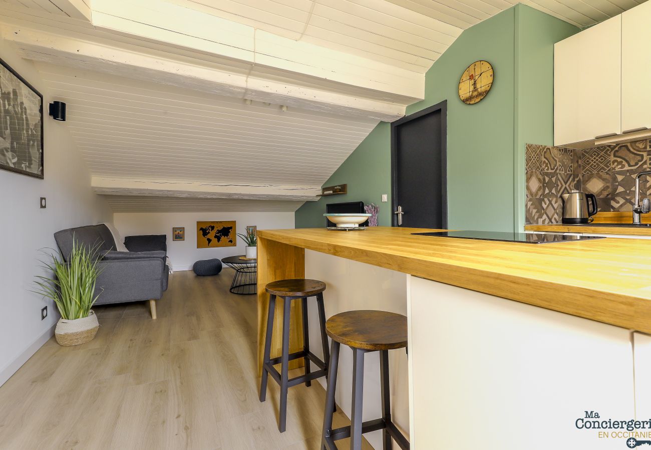 Apartment in Toulouse - TAUR - Hypercentre - Basilique St Sernin