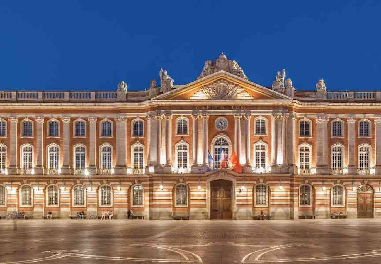 Apartamento en Toulouse - MONTAUDRAN · Place Dupuy - Vue panoramique -Métro